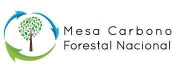 mesa carbono forestal