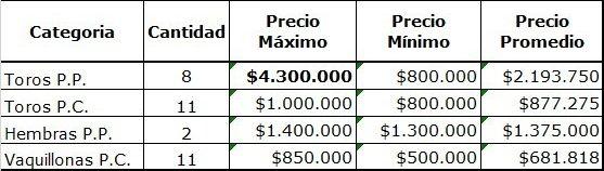 Remte-Angus-Patagonico