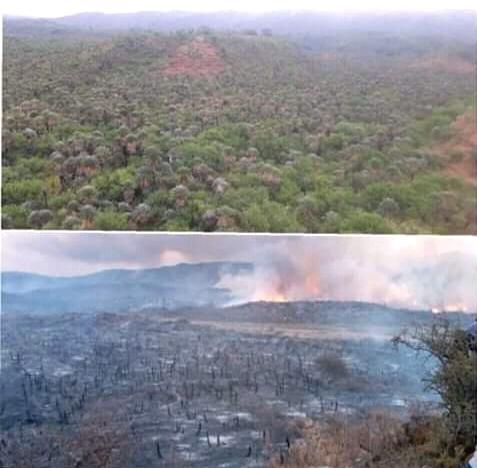 WhatsApp Image 2020-08-27 at 8.15.03 PM