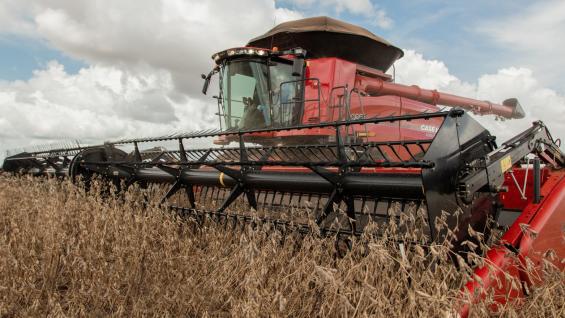 case-ih-lanzamiento-4_1618415844