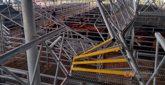 CN -accidente-mercado-agroganadero-pasarelas-696x359