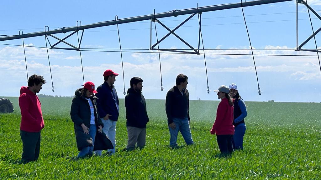 Imagen de WhatsApp 2023-11-02 a las 09.30.05_b1548b0e