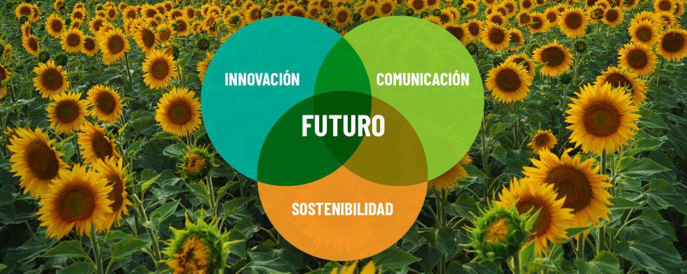 encabezado-Nota-Sostenibilidad-innovacion-y-comunicacion