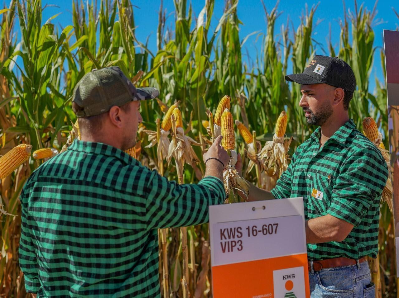 unnamed - 2023-06-24T150324.939