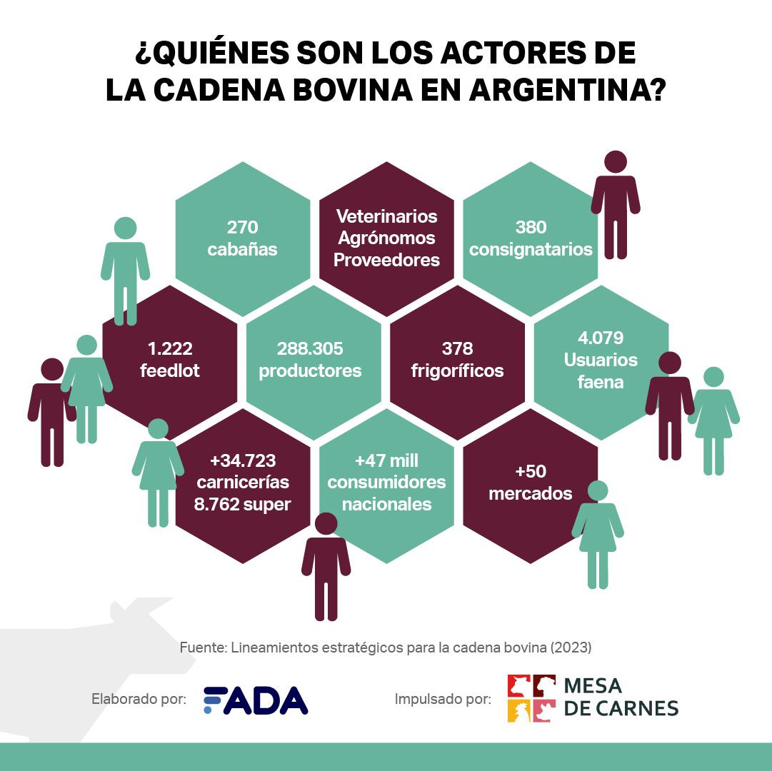 Grafica quienes son los actores