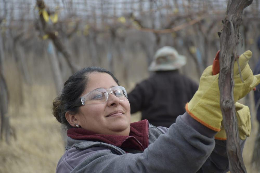 unnamed - 2023-08-02T142527.307