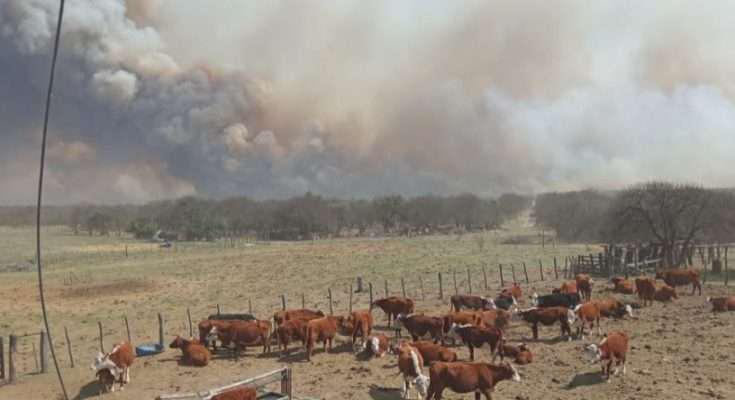 incendios-quehue-735x400