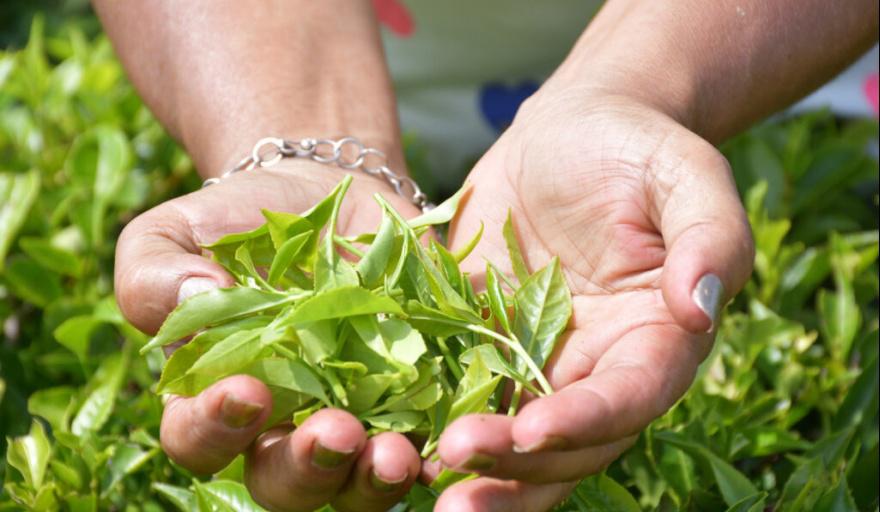 _te-adentro-2-1024x683