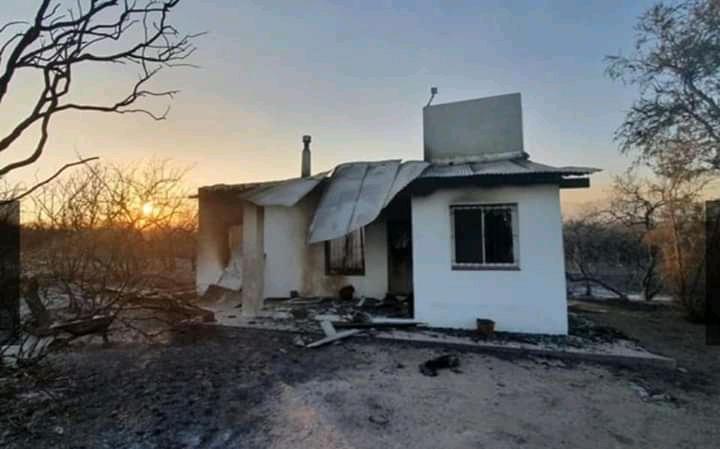 WhatsApp Image 2020-08-27 at 8.14.50 PM