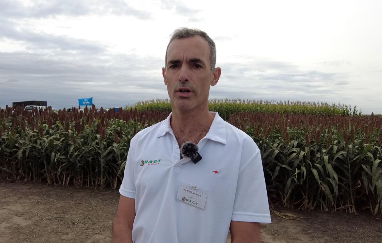 _Marcos Kaspar, Cereal Breeding de RAGT