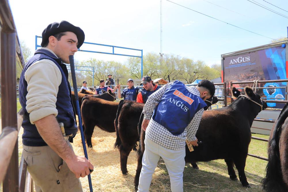 WhatsApp-Image-2023-09-19-at-19.35.23