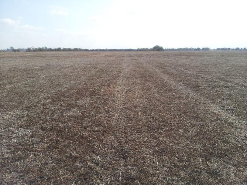 unnamed - 2023-06-24T150857.586