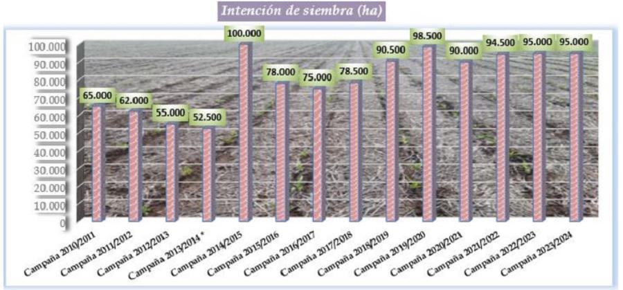 Girasol-septiembre2023-santafe