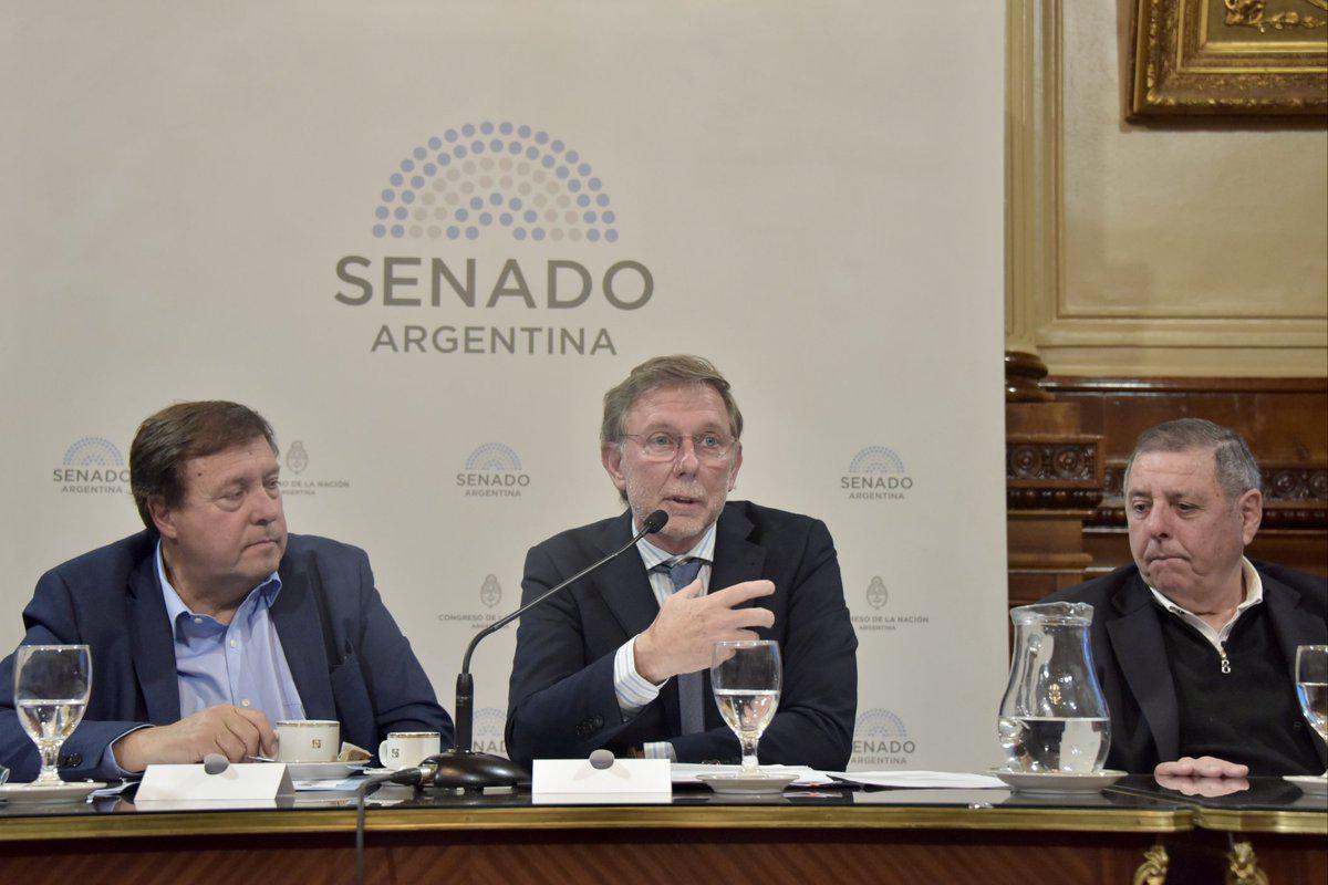 cn-bahillo en senado