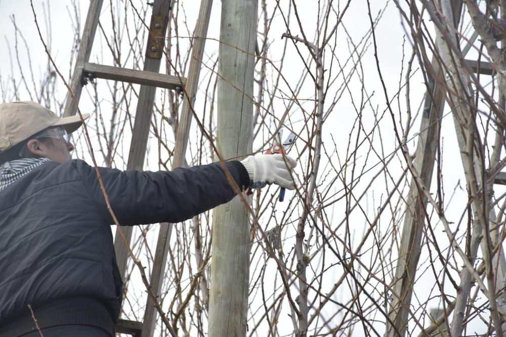 unnamed - 2023-07-07T125205.911