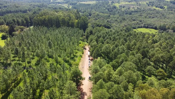 Caminos Rurales 