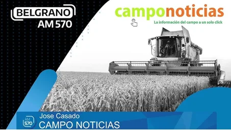 camponoticias belgrano