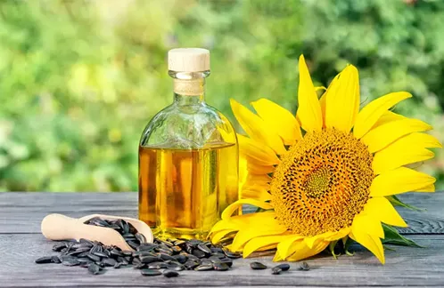 cn-aceite de girasol
