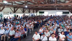 cn-asamblea 3