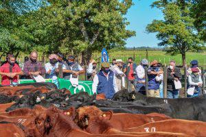 ANGUS-EN-RAMIREZ-300x200