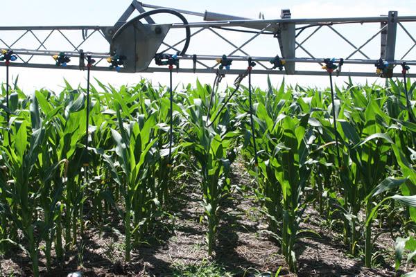 unnamed - 2024-03-20T202800.324