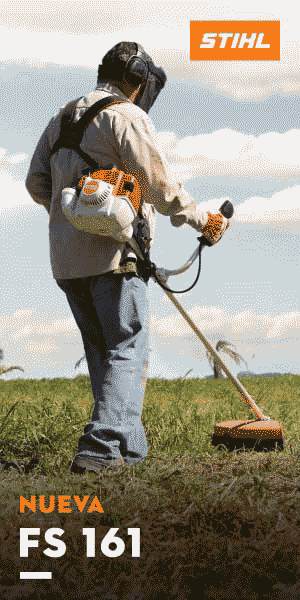 13704788814390450877