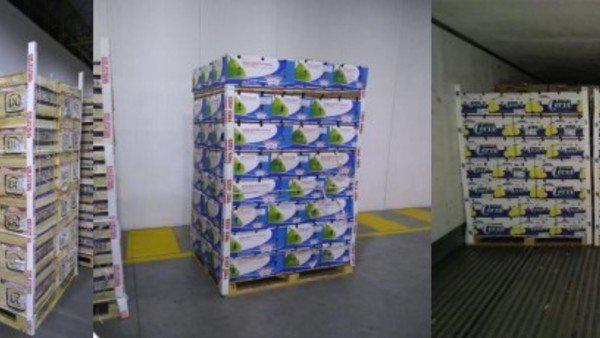 CN-PERAS Y MANZANAS