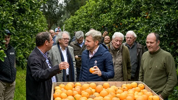 cn.frigerio