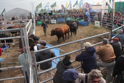 agroactiva 2022 publico jueves 2 de junio de 2022 (1)