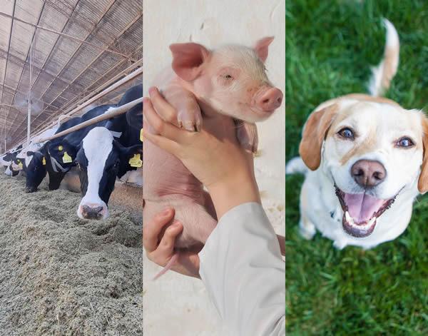 unnamed - 2023-07-02T031746.675