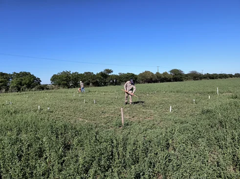 IMG_20241030_090406538