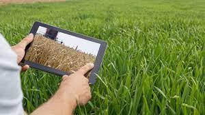 CN-semana agtech