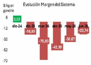 cn-CAINCA MARGENES