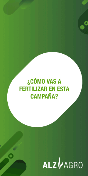 13360278340694132904