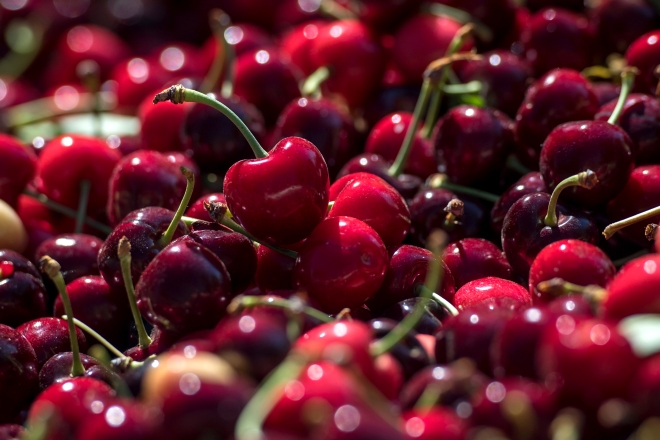cn-cerezas export