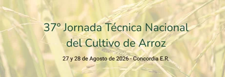 cn-arroz1