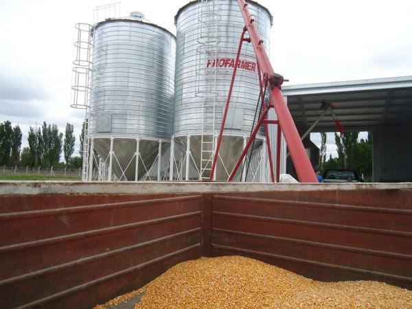 Alimentos-balanceados (1)