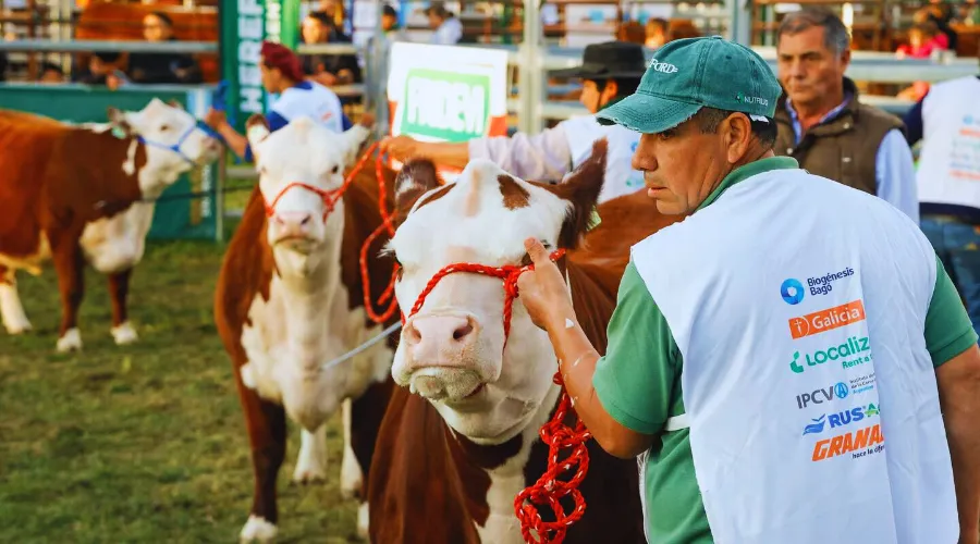 cn-hereford patagones
