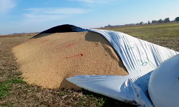 cn-silobolsa vandalizado