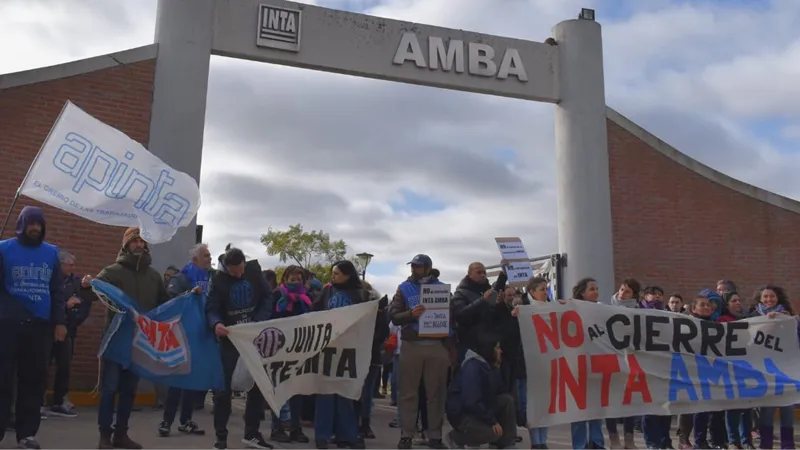 cn-inta amba