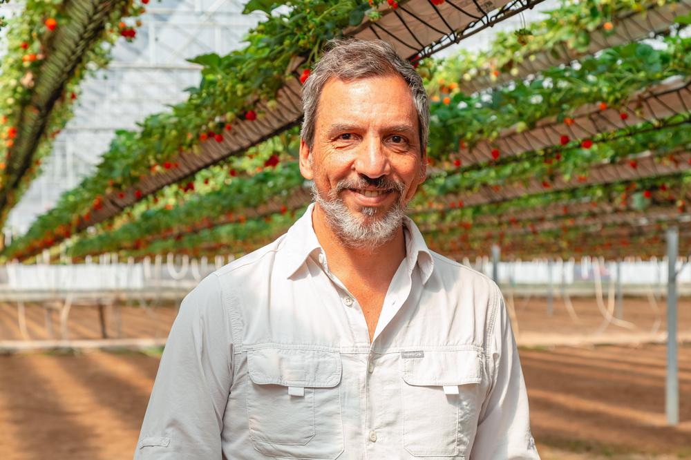 jose demicheli en invernadero