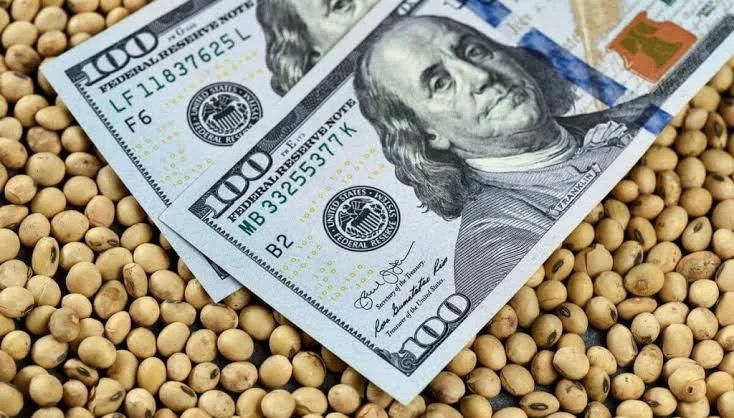 Liquidación divisas