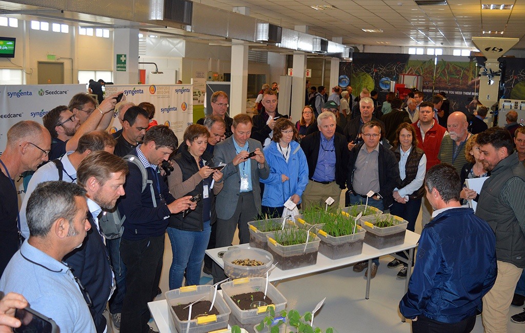 cn-seedcare syngenta