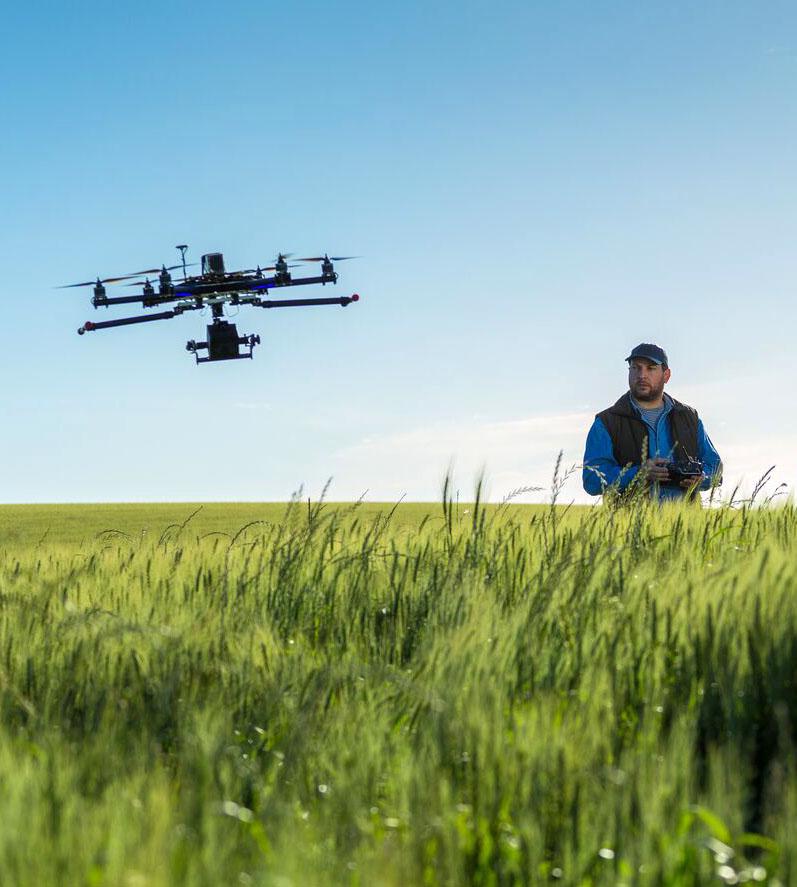 Aplicacion con dron en trigo