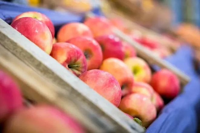 cn-manzana