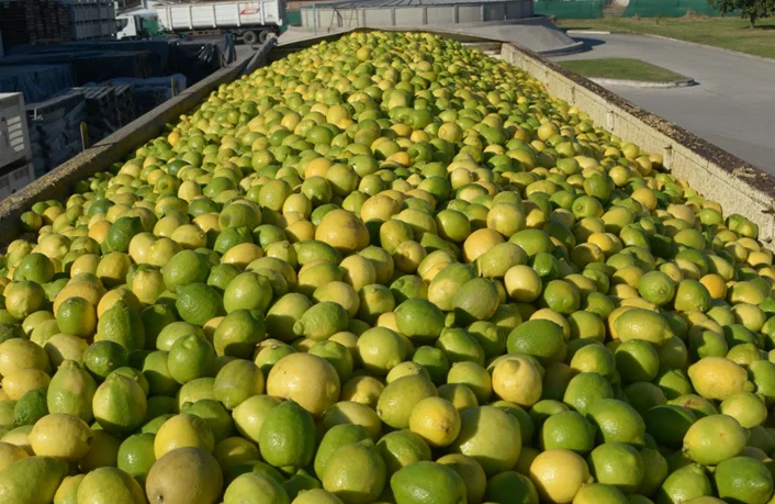 cn-citricos