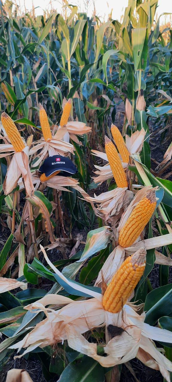 WhatsApp Image 2024-05-22 at 09.28.34