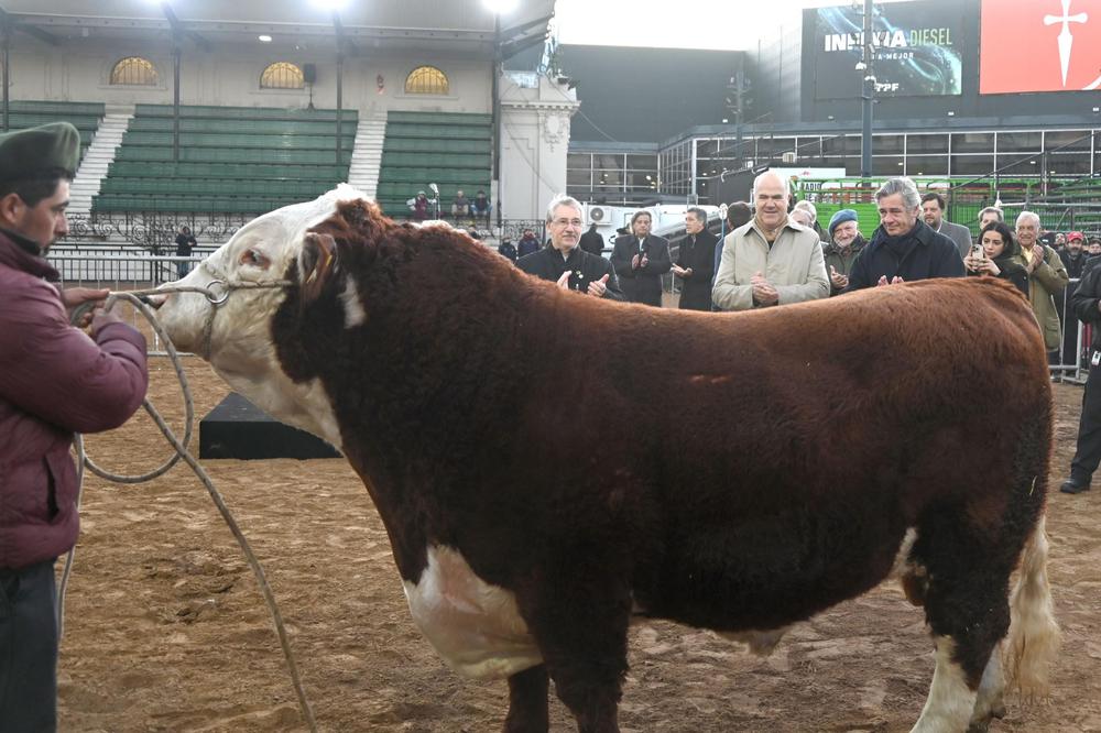 unnamed - 2024-07-16T225612.262