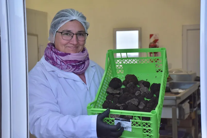 cn-trufas