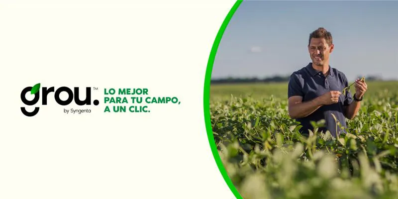 Grou_Syngenta